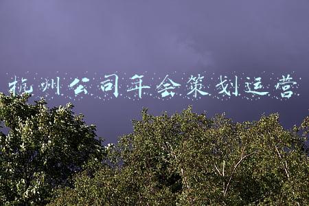 杭州公司年会策划运营