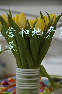 教育和房地产哪个前景好(2021彻底大变天的教育行业，这一整年都发生了什么？)