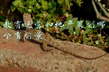 房产策划有发展前景吗(地产策划过了35岁，还能升职加薪吗？)