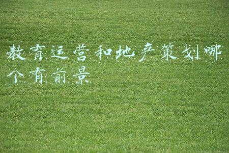 教育运营和地产策划哪个有前景