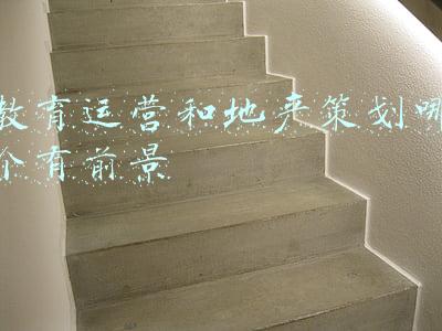 房地产前景分析(房地产行业深度分析：困境与展望，增长与保障)