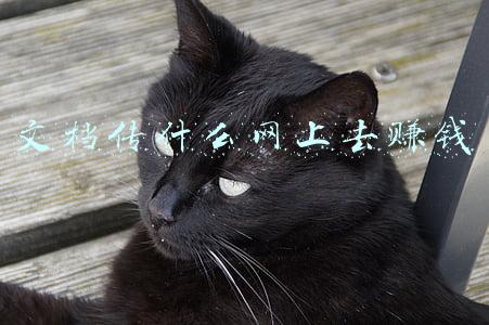 如何在微信传文档(微信新功能，微信无需登录可文件传输)