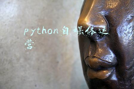 python自媒体运营