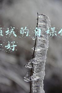 自媒体动漫领域怎么做(影视剪辑账号如何转型？推荐两大原创领域，适合自媒体新手小白)