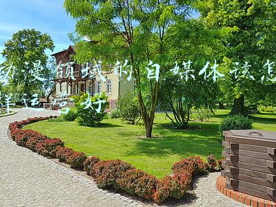 动漫领域自媒体哪个平台好(版权意识哪家强？11大中短视频平台横向测试)