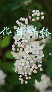 新媒体弘扬传统文化(优秀传统文化复兴，仅靠“出圈”是不够的)