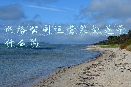 网络公司运营策划是干什么的