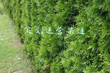 渠道策划是什么意思(圈层渠道营销的十二种打法)