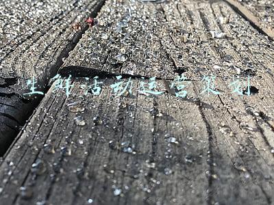 生鲜活动运营策划