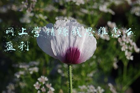 网络营销思维(网络营销的七大思维，自己收藏不要转发)