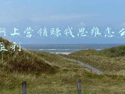 网上广交会营销(广交会如何“云”上谈生意？这份攻略送给你)