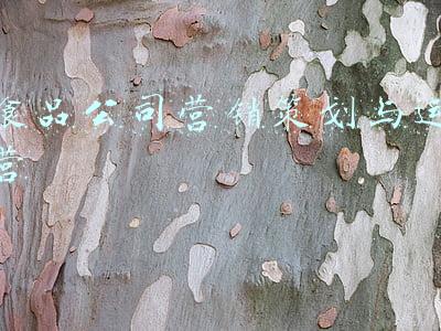 食品公司营销策划与运营