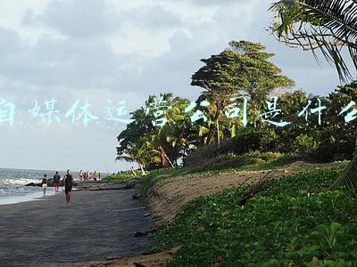 自媒体运营公司是什么