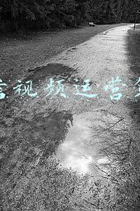 微信视频运营策划