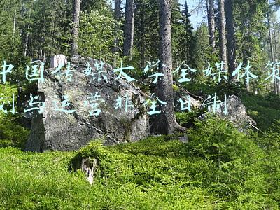 中国传媒大学非全日制(2022年中国传媒大学MBA网报信息错误提醒 （部分数据）)