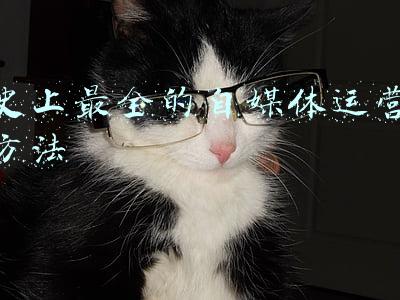 成功的自媒体运营案例(成功是顺势而为？分享我周围5个强者的案例)