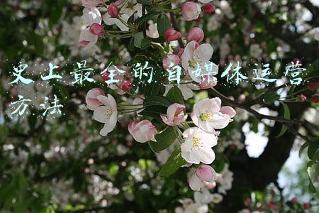媒体发展史(媒体进化史——揭晓一段不为人知的秘辛｜推荐)