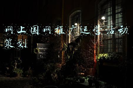 网上国网推广运营活动策划