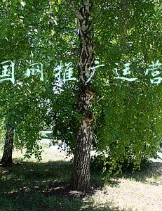 网上国网推广运营活动策划