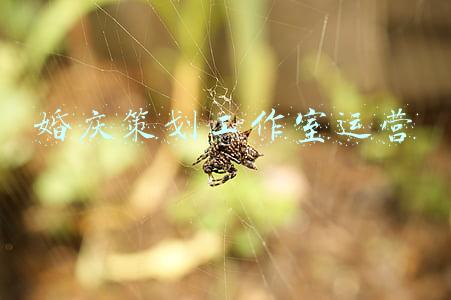 婚庆策划公司创业计划书(商业计划书PPT案例：婚博园项目建设商业融资计划书)