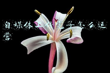 自媒体刚开始怎么做(从零开始做自媒体：如何申请自媒体？不要以为注册了就可以躺赚)