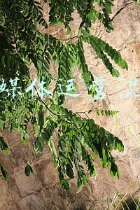 自媒体乱象(焦点访谈揭自媒体6大乱象：这些“病”该治治了！)