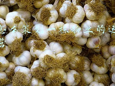 物业 定位 策划(物业服务整体方案)