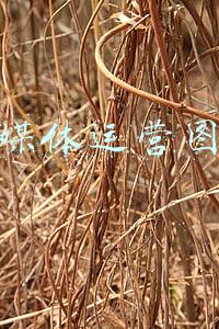 自媒体运营图标