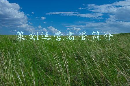 策划运营高管简介