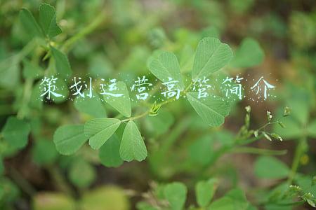 策划运营高管简介