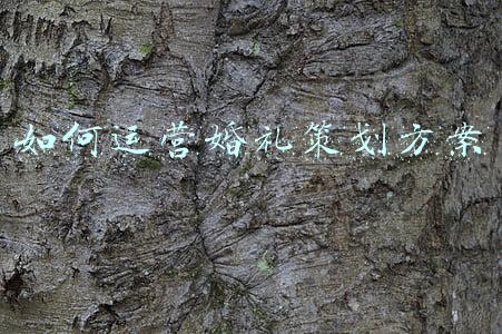 如何运营婚礼策划方案