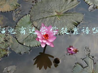 电子商务学徒招聘(20家企业招聘289人，找工作的你快看过来)
