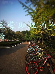 电商运营助理要从客服做起吗(大家好，我是电商人蜉隼，从事淘宝和抖店客服管理工作)