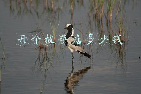 开个披萨店需要多少钱 开个披萨店需要多少钱,全程扶持开店!