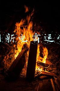 互联网新电商运营专员