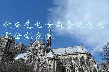 电子商务项目策划方案有哪些(情人节创意营销活动策划案)