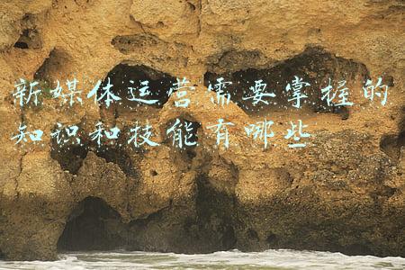 新媒体运营需要掌握的知识和技能有哪些