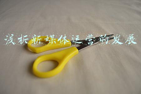 新媒体运营现状分析(郭全中、刘翠霞：我国新媒体产业新进展、新趋势瞭望)