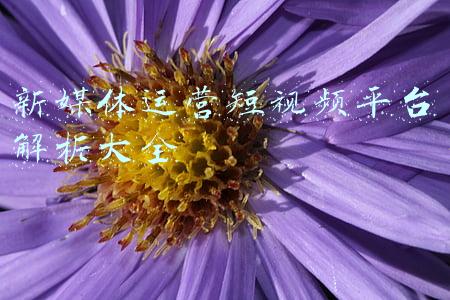 新媒体运营短视频平台解析大全