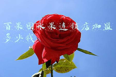 百果园水果连锁店加盟多少钱怎样-百果园水果连锁店加盟怎么样