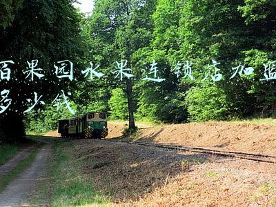 宁波百果园水果连锁店;宁波百果园水果连锁店地址