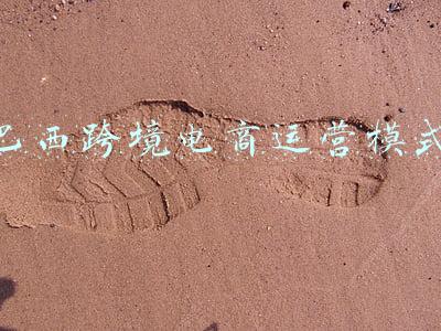 巴西电商什么好卖(Shopee巴西站发展如何？卖什么产品才能掘金巴西市场？)