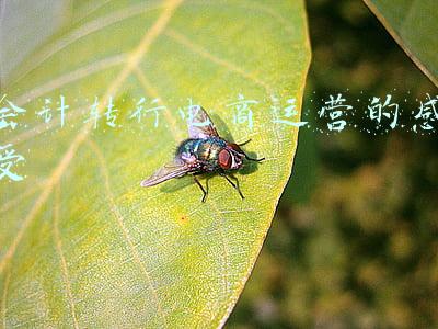 会计转行电商运营的感受