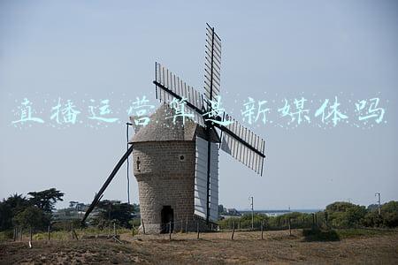直播运营算是新媒体吗