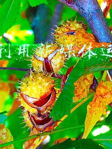 做新媒体运营有前途吗(即将年满25岁的我，准备辞掉银行工作，转行新媒体运营)