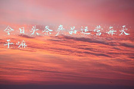 头条怎么运营(我和头条的故事：如何做好头条运营，才能在头条上脱颖而出？)