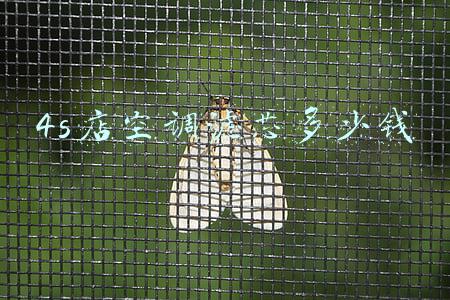 4s店换空调滤芯和空气滤芯多少钱(4s店空气滤芯和空调滤芯多少钱)