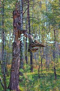 早餐粥铺的利润怎么样；早餐卖粥利润大吗