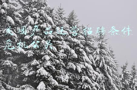 美团公关总监(线上分享会本周五开启：听美团-大众点评公关总监汪蕊讲公关)