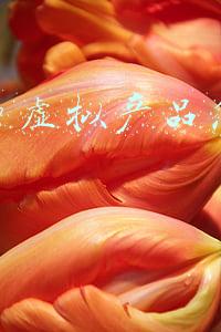 拼多多虚拟产品怎么运营